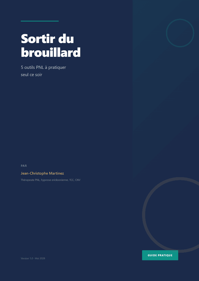 Couverture du guide Sortir du brouillard